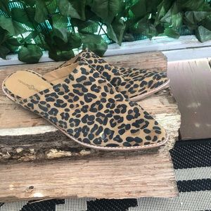 Cheetah Slides